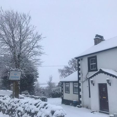 Netherdene Country House Bed & Breakfast Траутбек Экстерьер фото