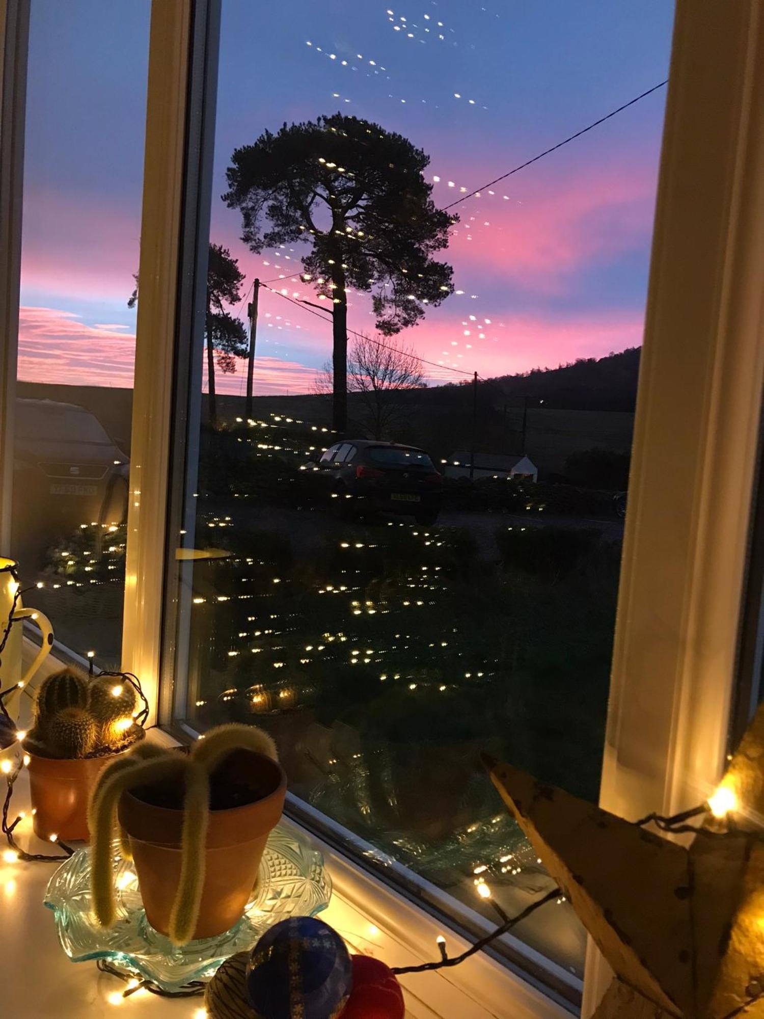 Netherdene Country House Bed & Breakfast Траутбек Экстерьер фото